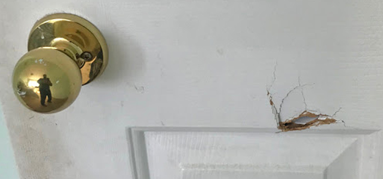 interior door hole repair McFarland